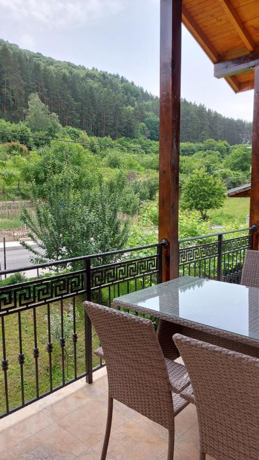 Forest Apartment Sapareva Banya ภายนอก รูปภาพ