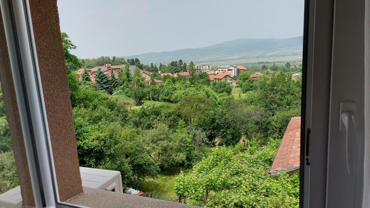 Forest Apartment Sapareva Banya ภายนอก รูปภาพ